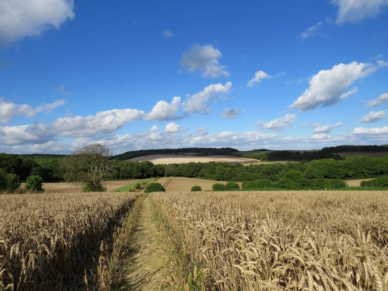 Finca Agroterrenos 1