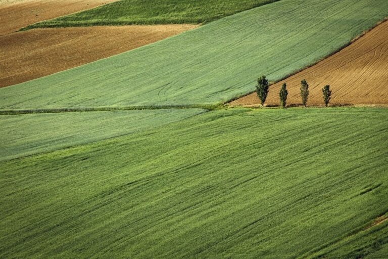 Fincas agrícolas en venta