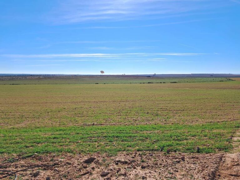 Finca agrícola en venta en Toledo