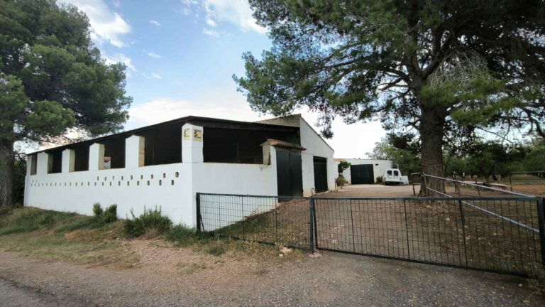 Finca rústica en venta en Castellón