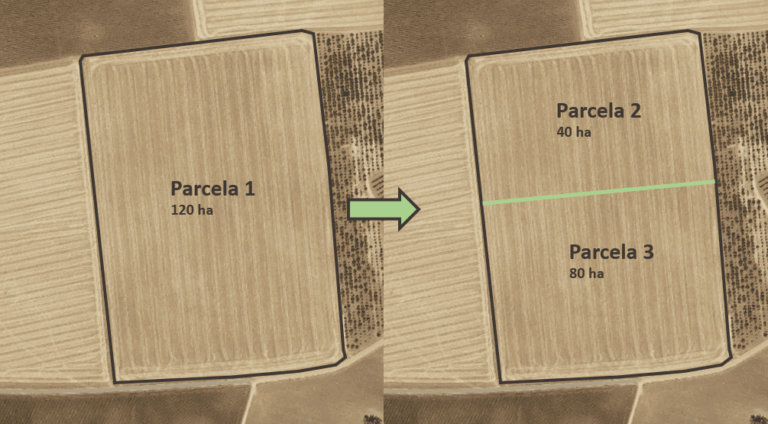 Segregación de una finca